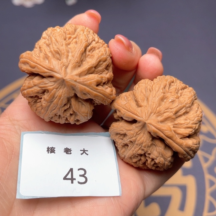 文玩核桃把件44大粗筋 43