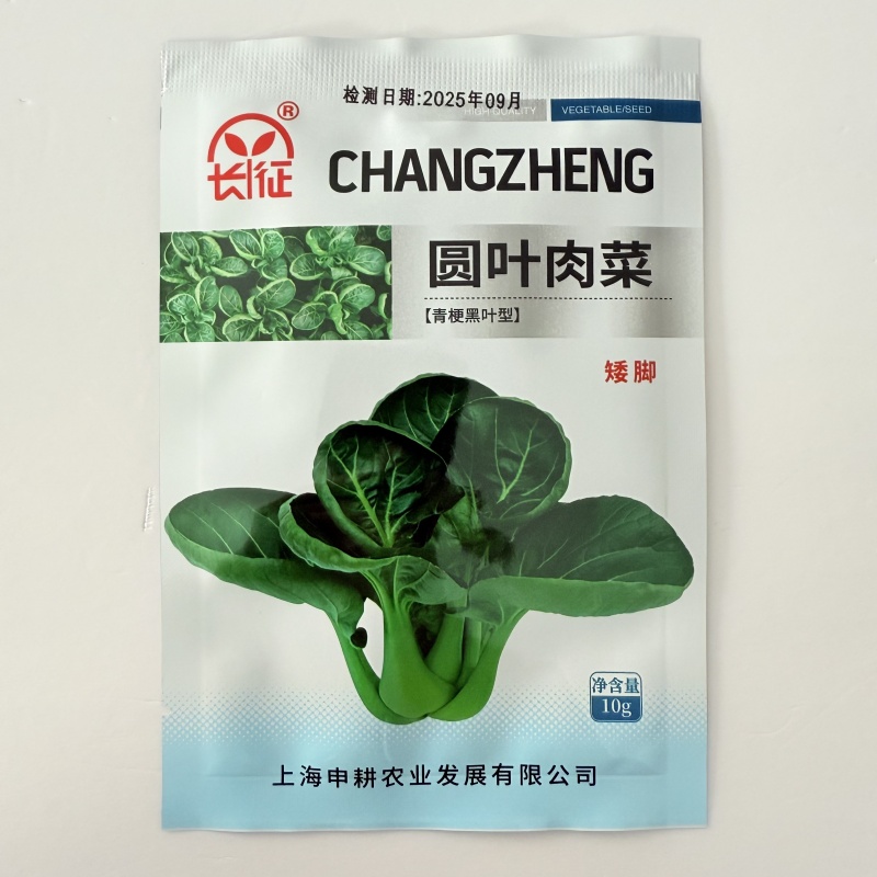 长征圆叶肉菜种子矮脚青梗菜种子耐寒高产口感软糯秋季播种