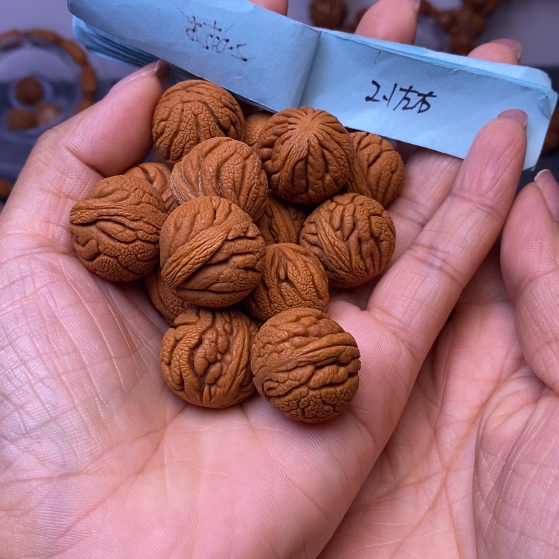 秦岭龙纹桃核13颗