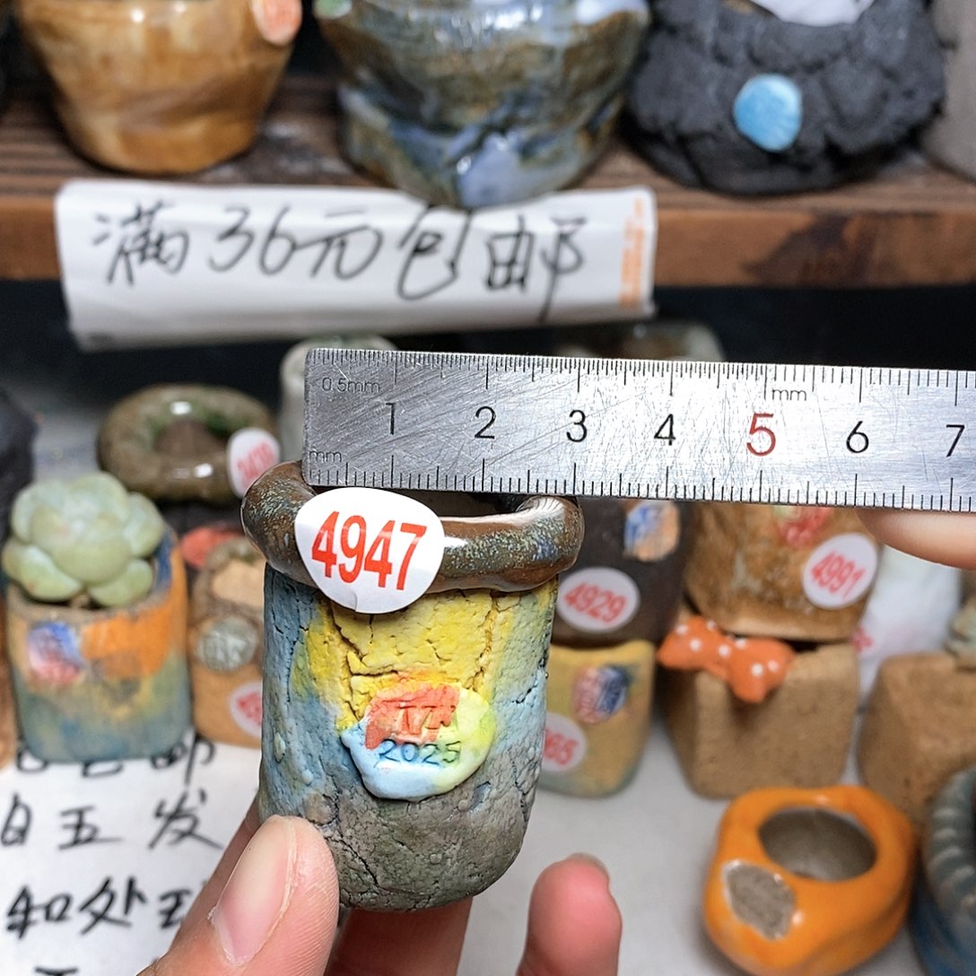 红陶拍5送一个小