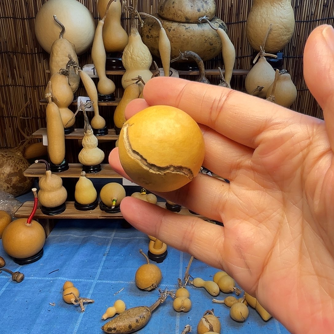 手把苹果小天裂20米包邮到家