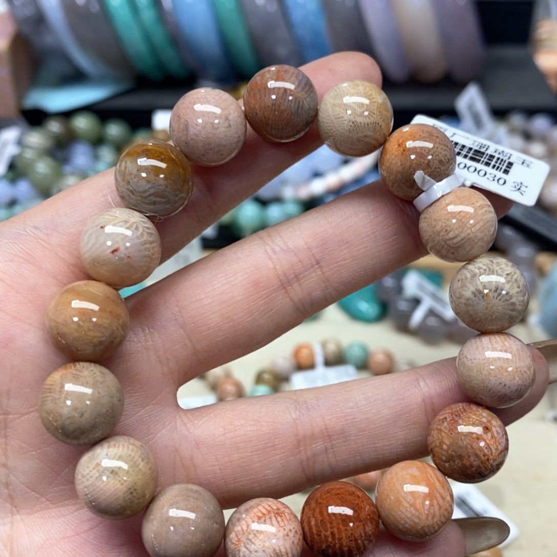 硅化珊瑚（珊瑚玉）手链未镶嵌323