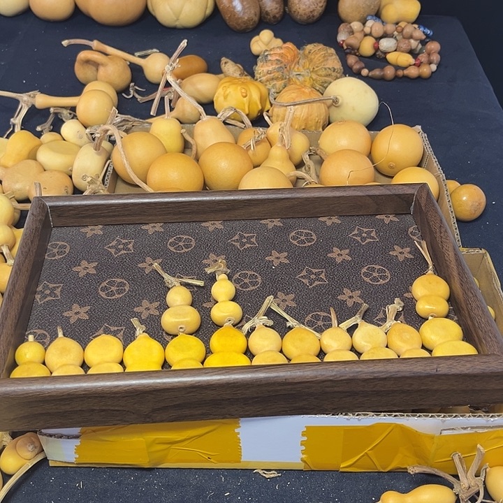 骑***飞葫芦新人奖等多项大奖获得者的提名奖项