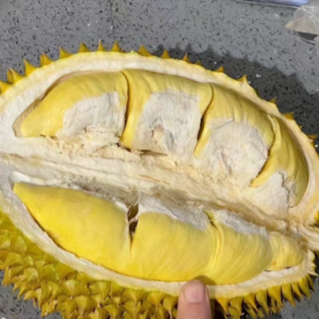 泰国金枕榴莲一盒850到950克新鲜榴莲核小金枕泰国