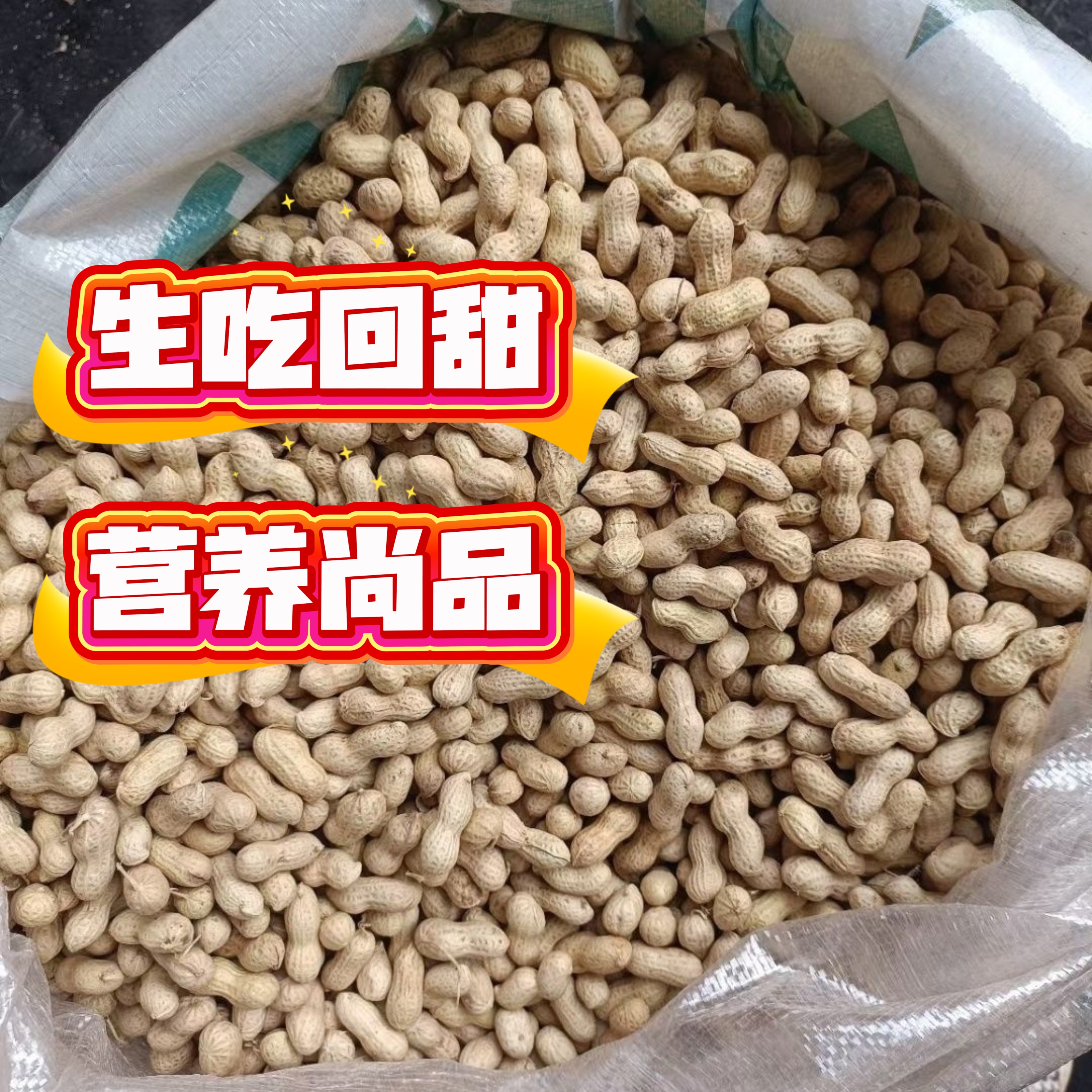 东北小珍珠花生果带壳生花生香脆回甜有营养 2005 新米