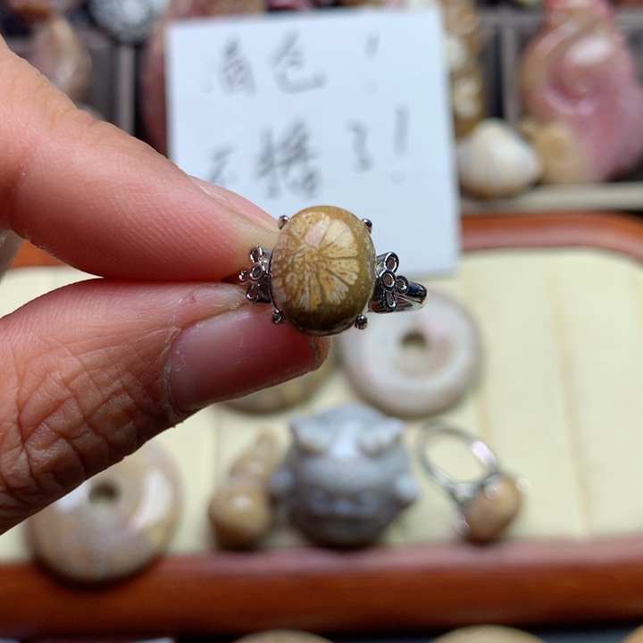 硅化珊瑚（珊瑚玉）颈饰未镶嵌