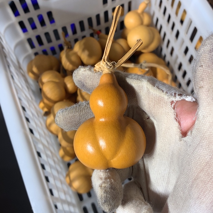 梨等经济林作物为食用之佳