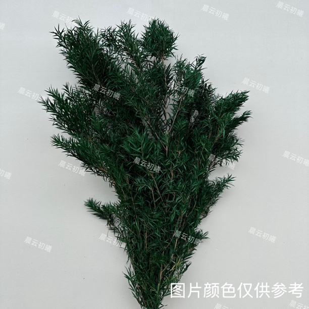 永生花千层金干花插花用于北欧风家居装饰的真花手工花束