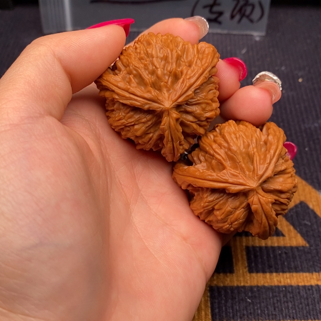 ****࿐文玩核桃把件白狮子