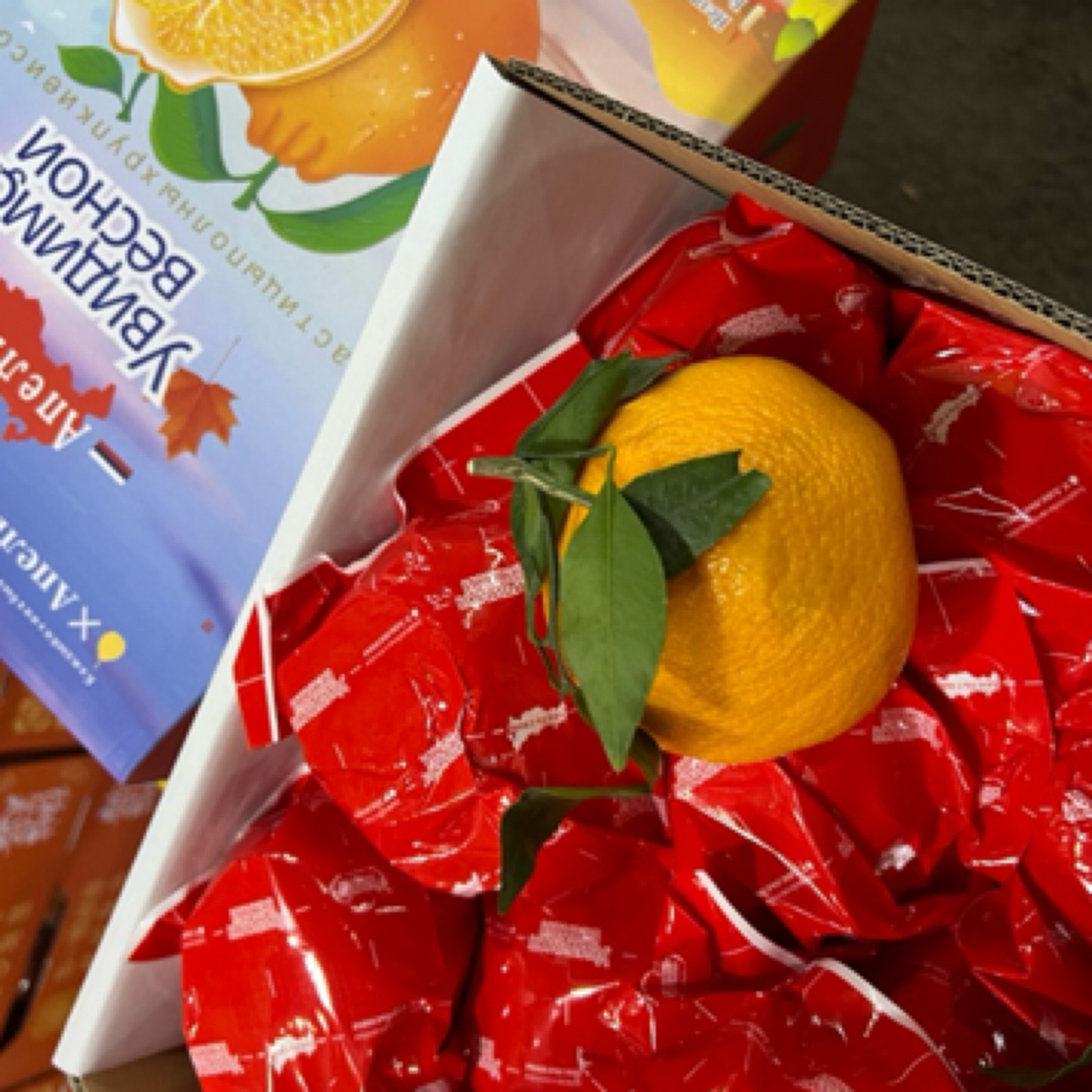 8斤春见丑橘原箱精品礼盒