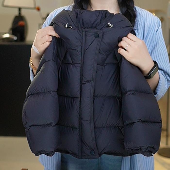 2025冬季新款中小童韩版 新国标白鹅绒  连帽鹅绒服  TXB25371