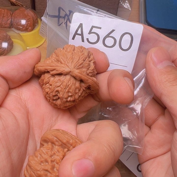 核桃白狮子，41，全品