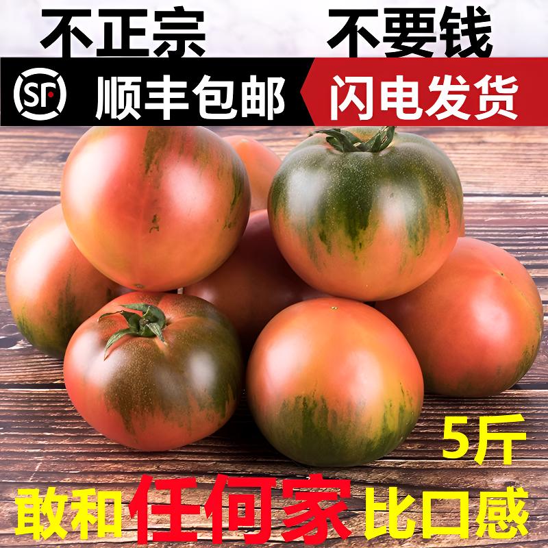 东北铁皮西红柿丹东草莓柿子新鲜自然熟盘锦碱地生吃水果番茄