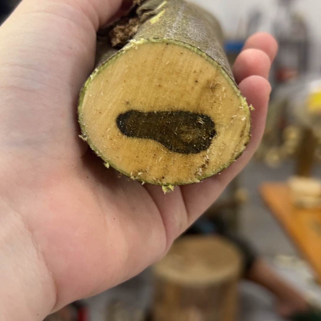 线香奇楠沉香原木