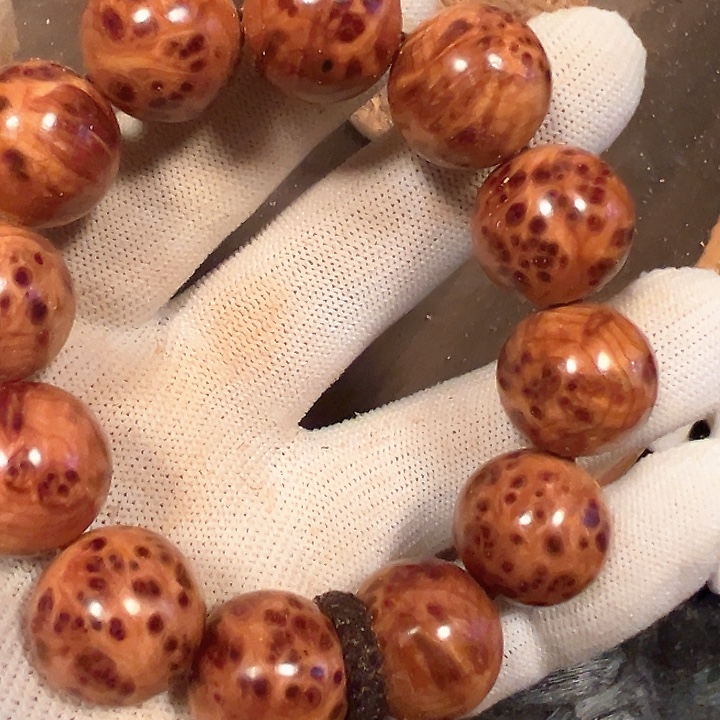 龍***墨柏木（崖柏）北太行易县料崖柏