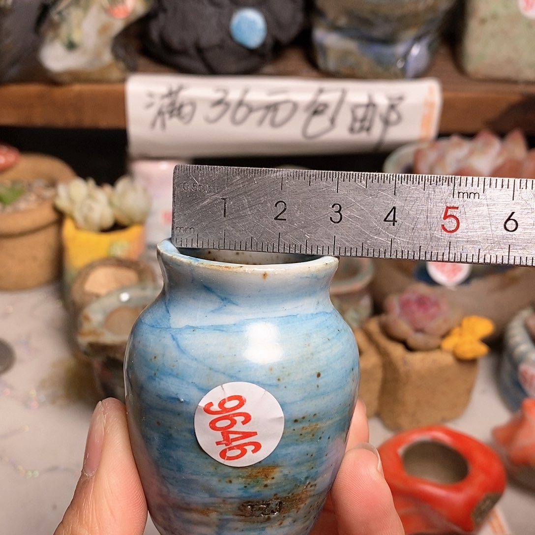 红陶拍5送一个小