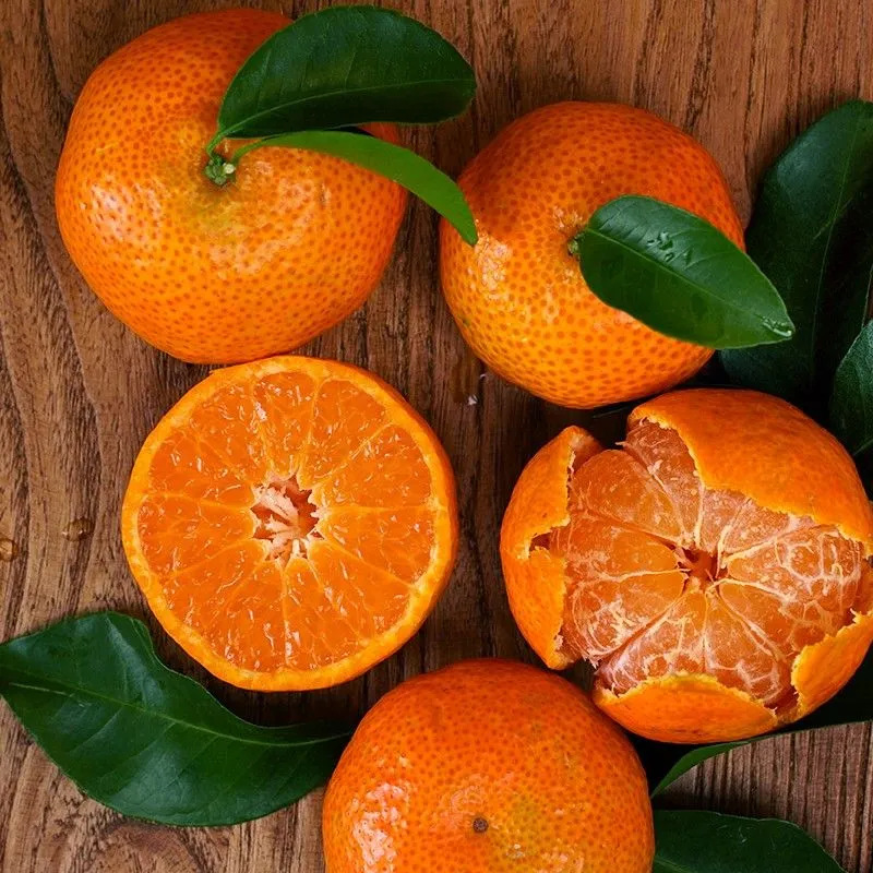 广西砂糖橘新鲜当季小桔子包邮现摘水果砂糖桔