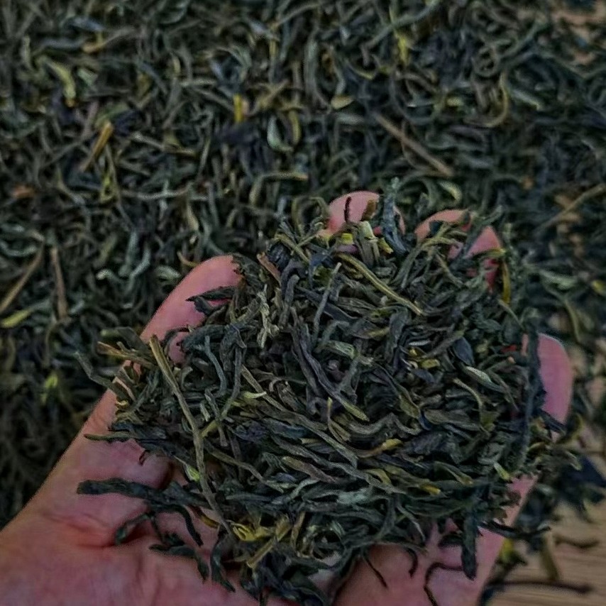 茉莉花茶2025新茶叶浓香茉莉小白毫茉莉香毫实惠送长辈自己喝耐泡