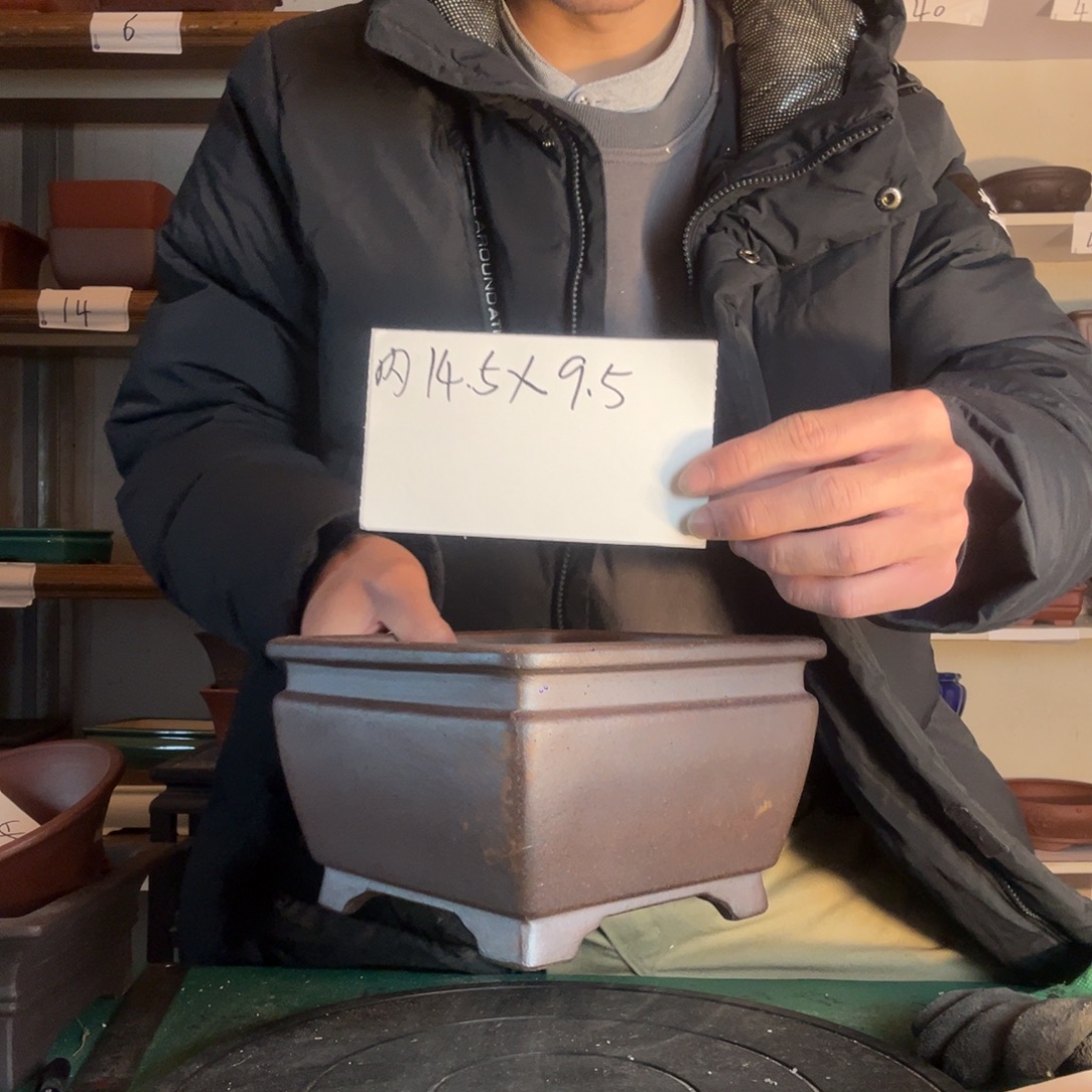 把v吃反弹引吭高歌过