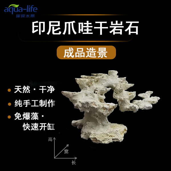 印尼爪哇石成品免爆藻快速开缸培菌珊瑚干岩石小米鱼缸海缸造景