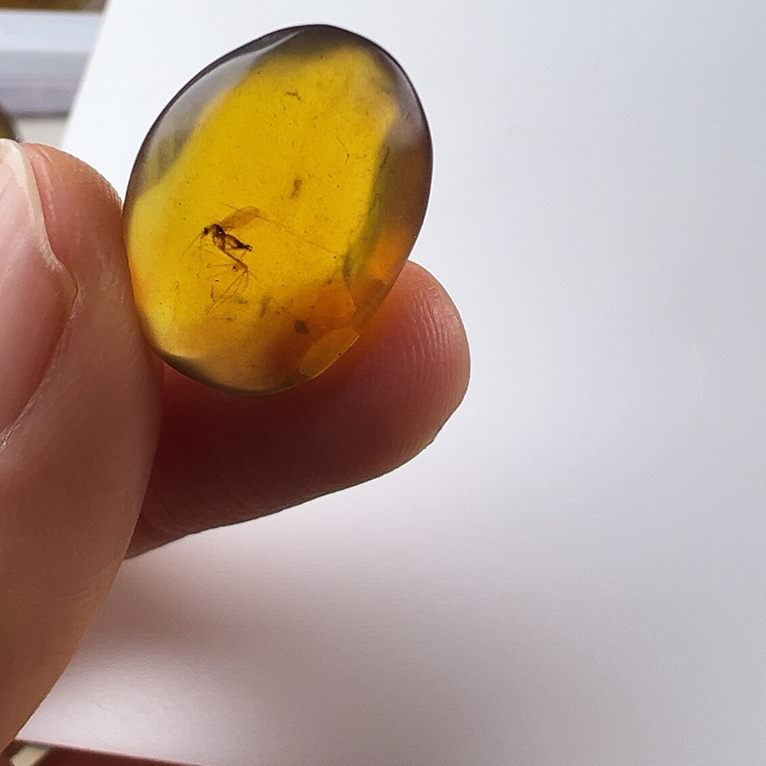 琥珀裸石未镶嵌琥珀虫珀