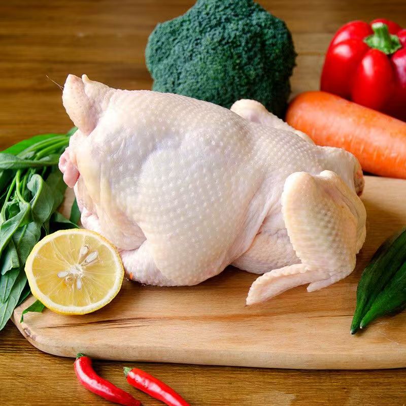 正宗黑凤土鸡，原种鸡黑凤母鸡柴鸡，黑凤