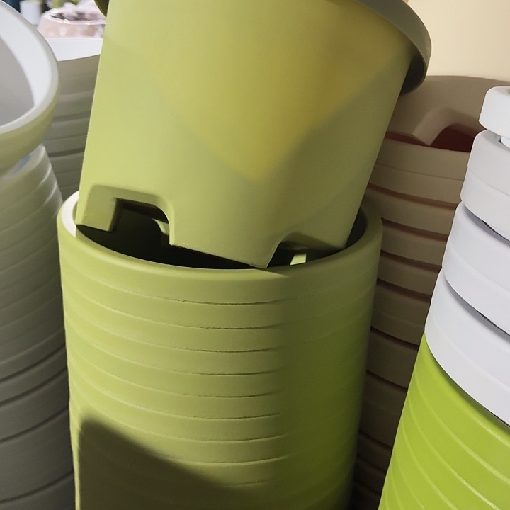 球根4#口径32高23无托果绿5个