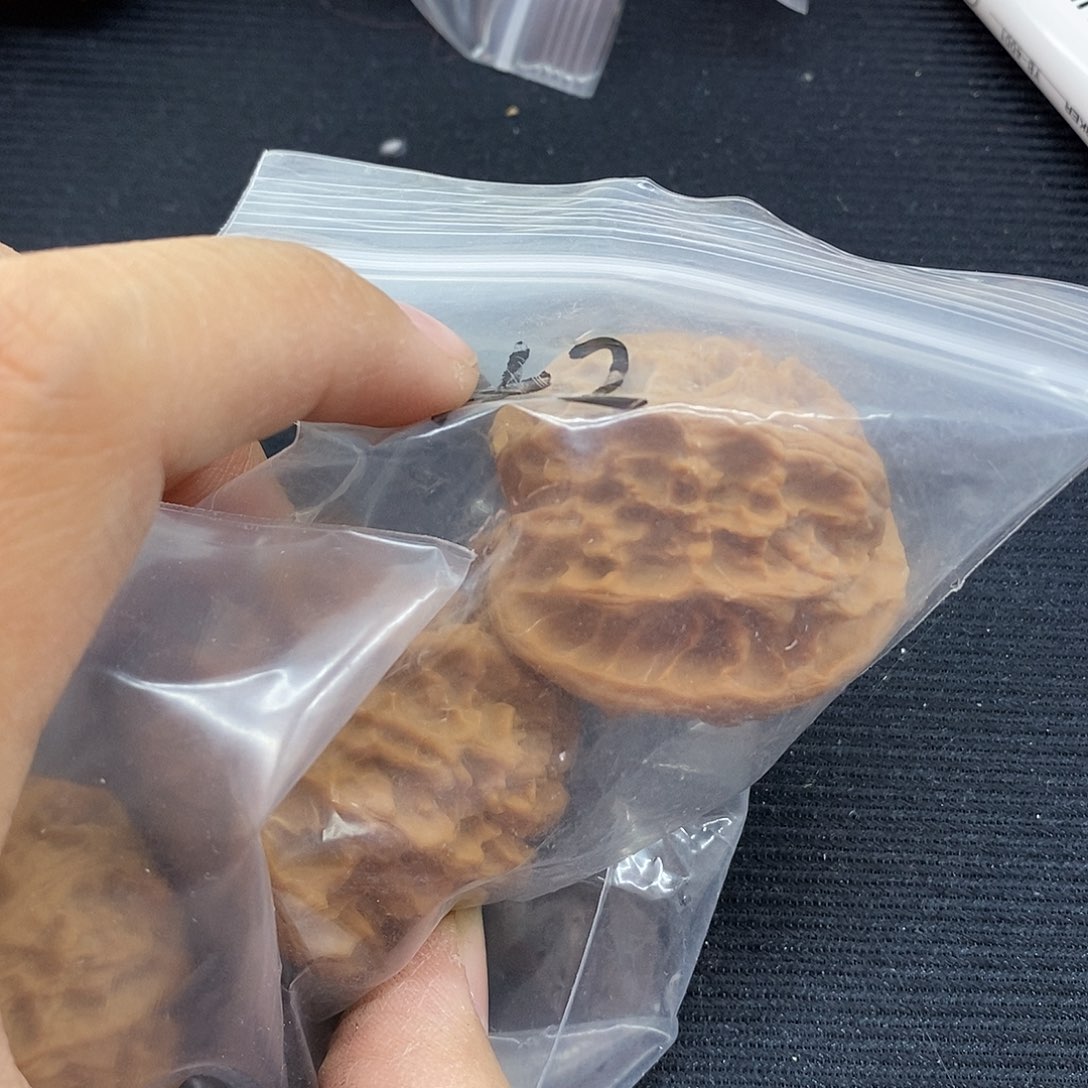 俺***牛桃核吊坠全品42尺苹果