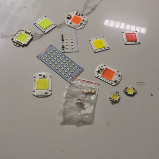 黄*1231杂货佳节17号