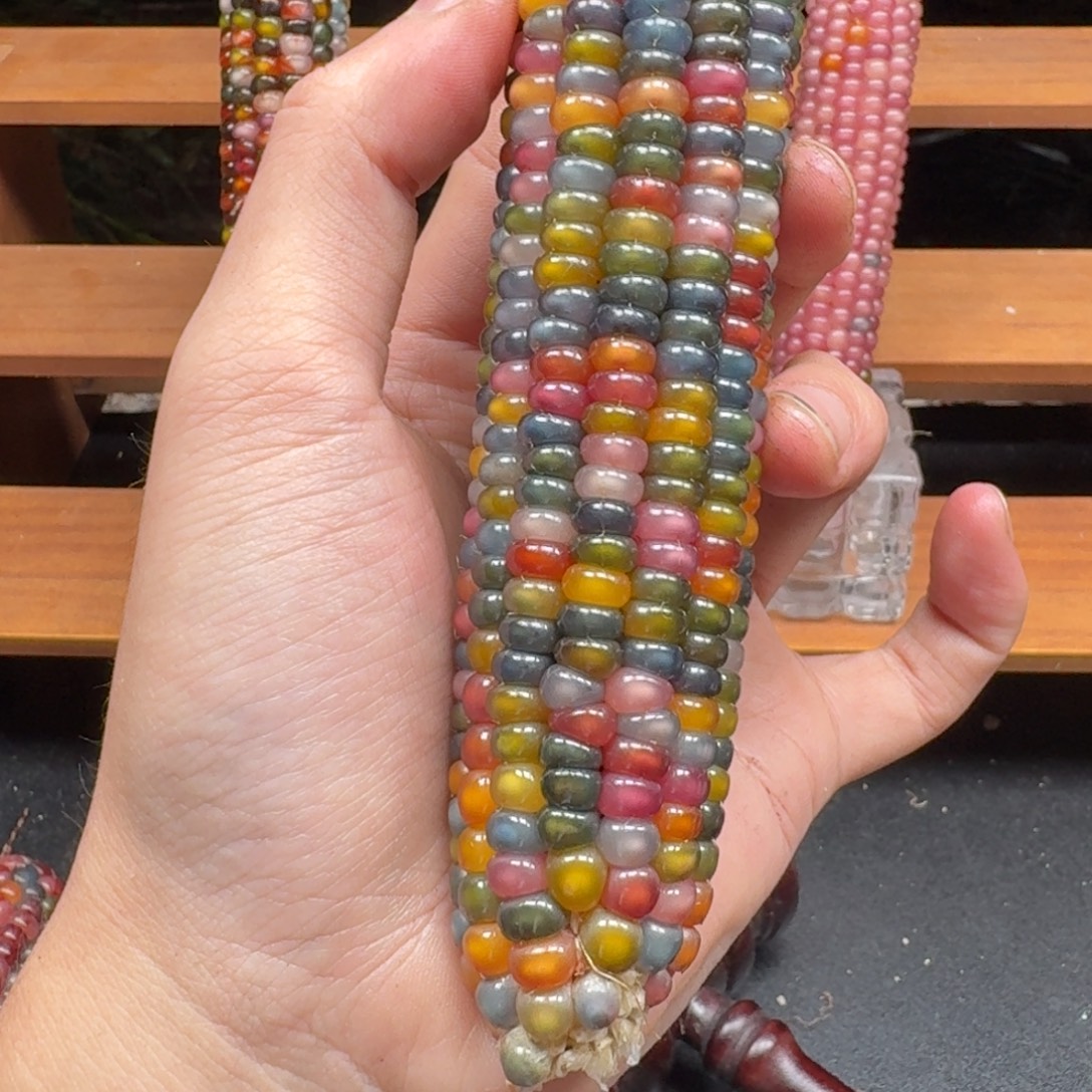 夏***末七彩宝石文玩玉米