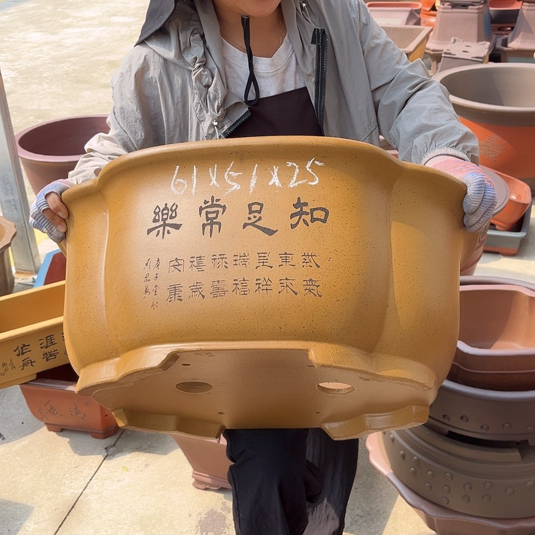 紫砂花盆盆景艺术