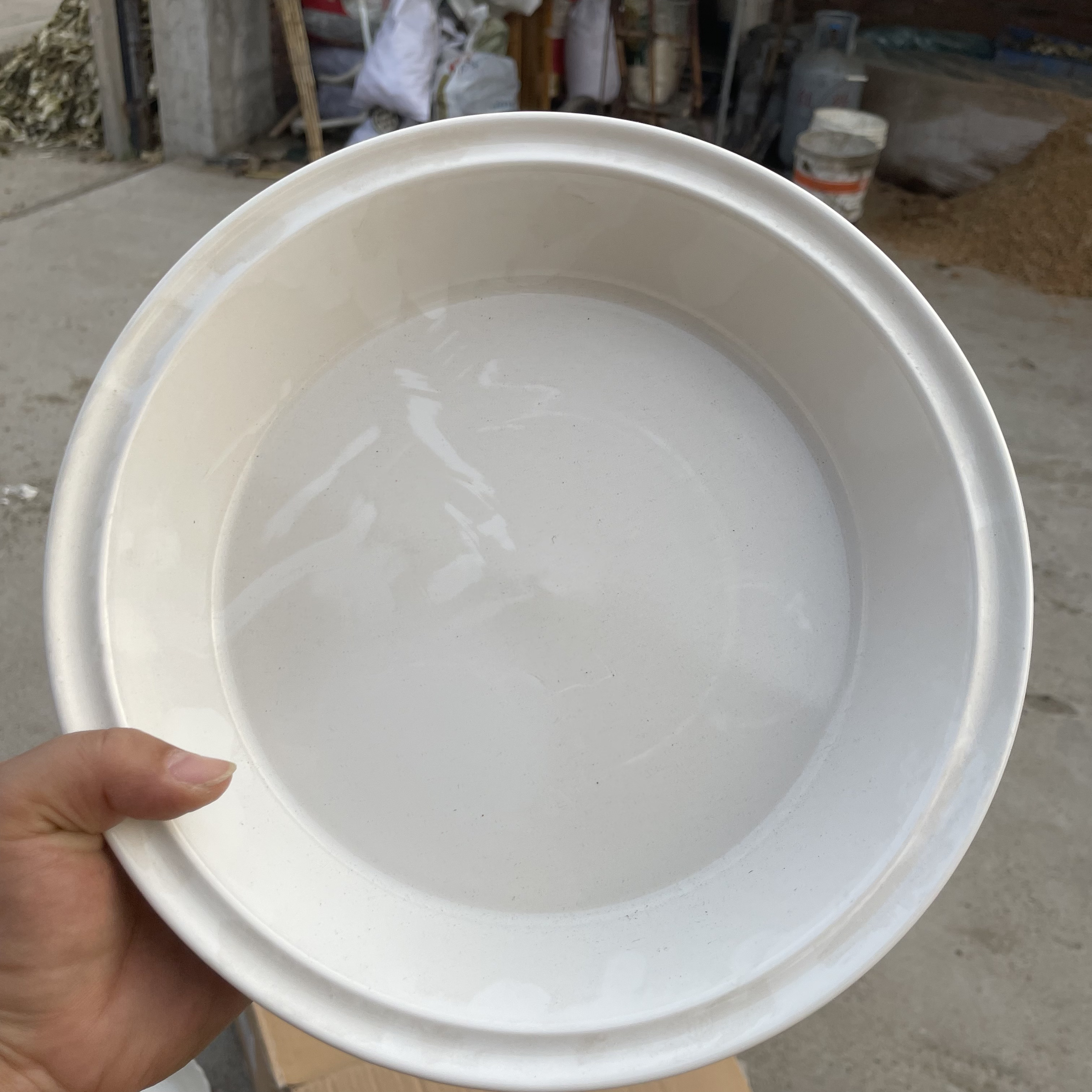 外贸尾单高温陶瓷白色披萨盘25厘米