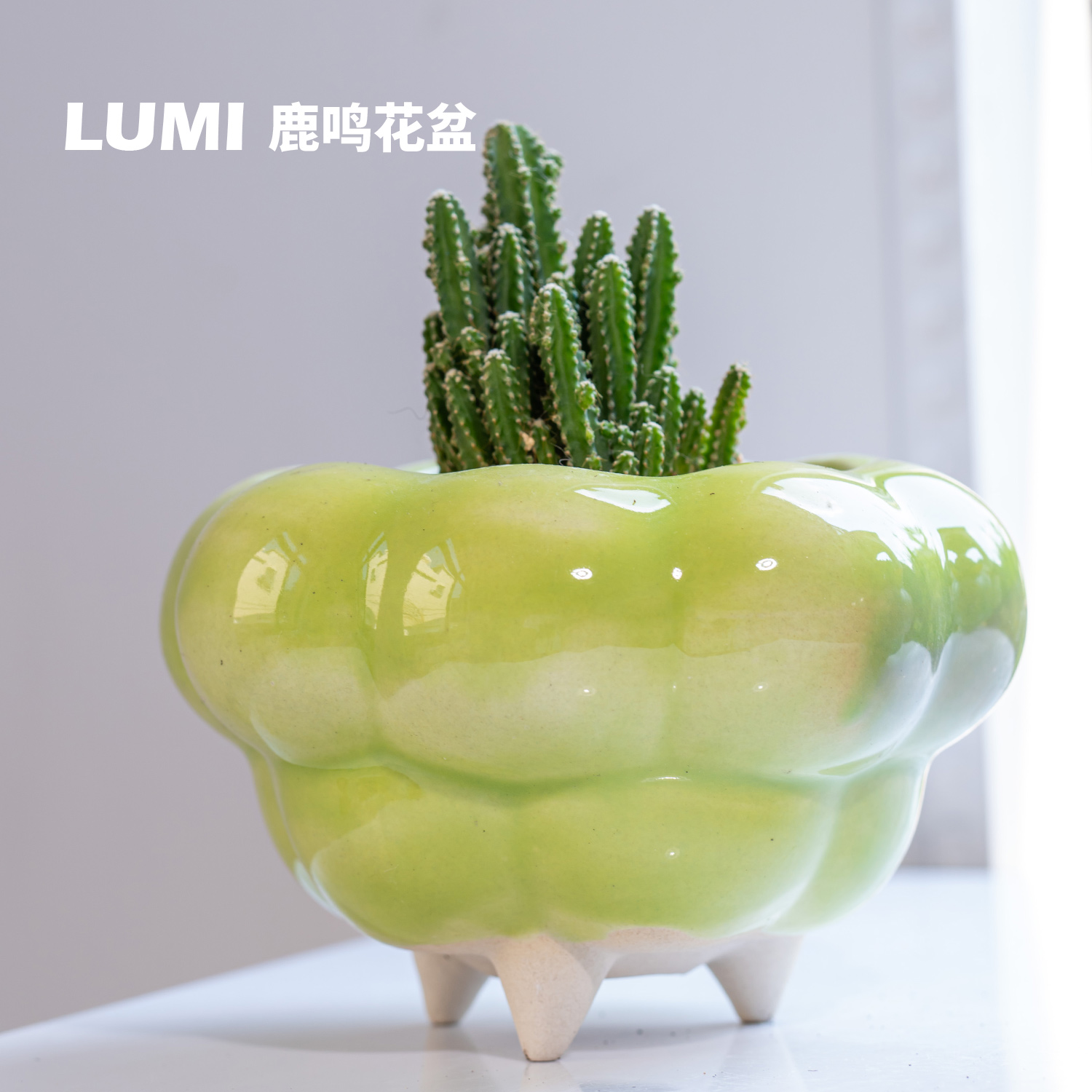 鹿鸣肉沫【彩色云朵】设计师特色可爱手工大口径创意多肉绿植花盆