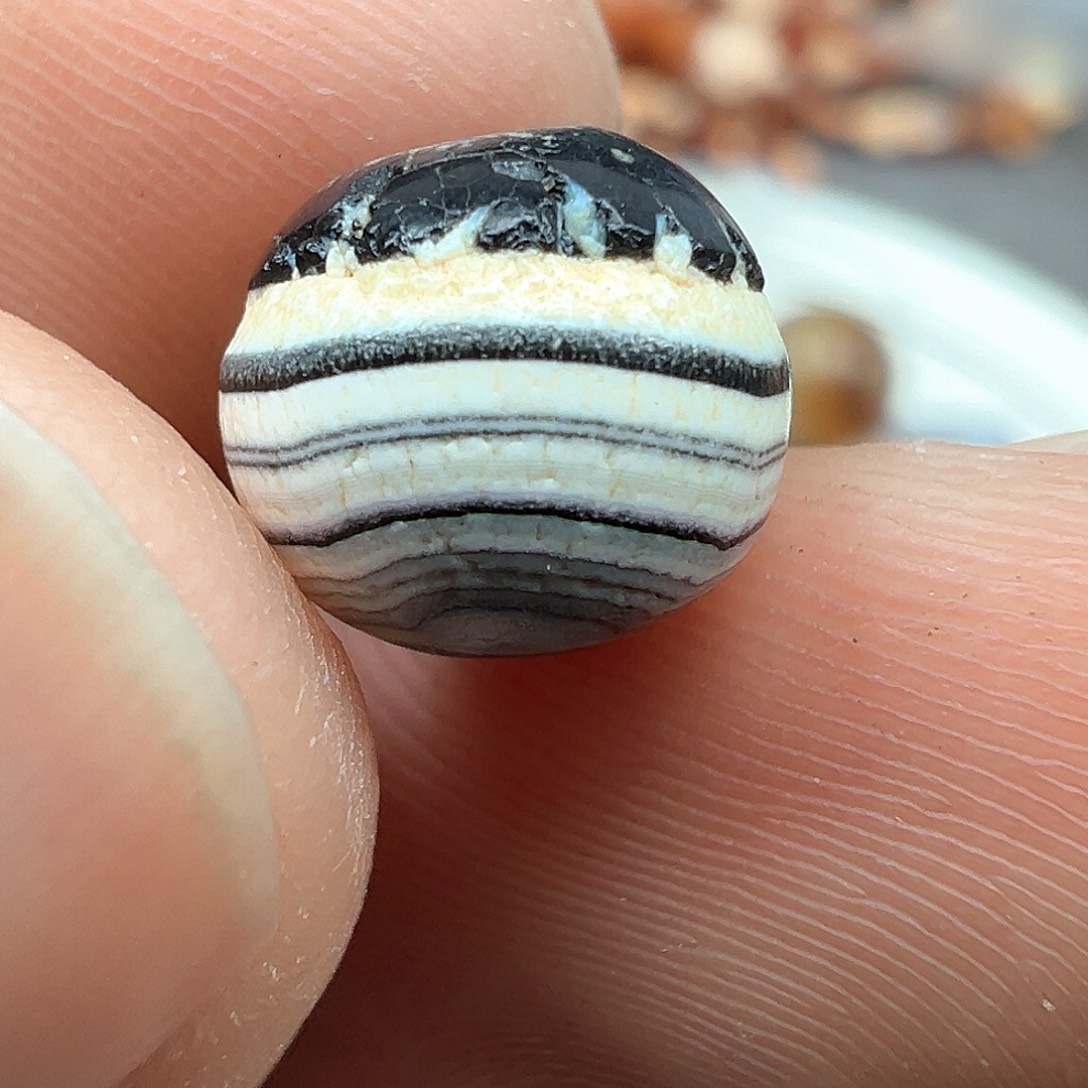 泥塑x92    9.5.....