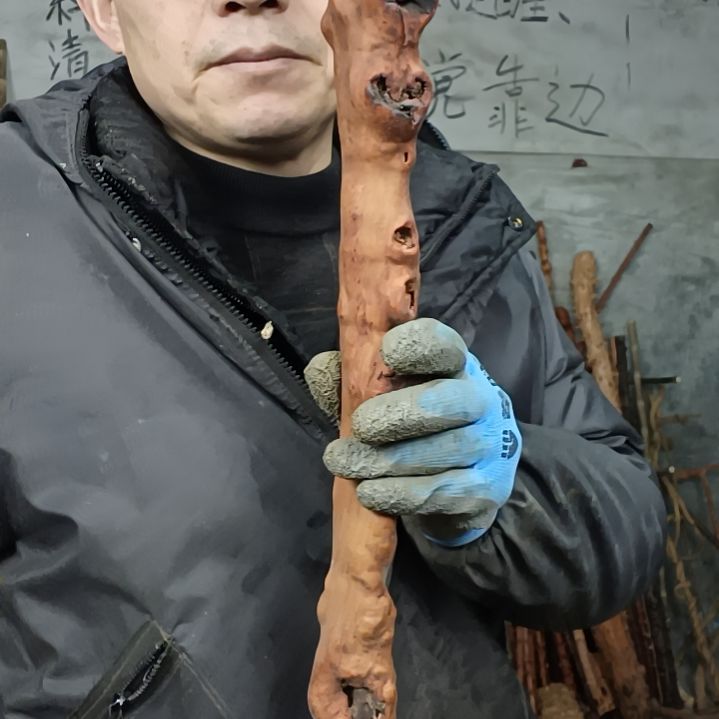 稳定木微****7贵州檬子木   铁马鞭   根艺  半成品