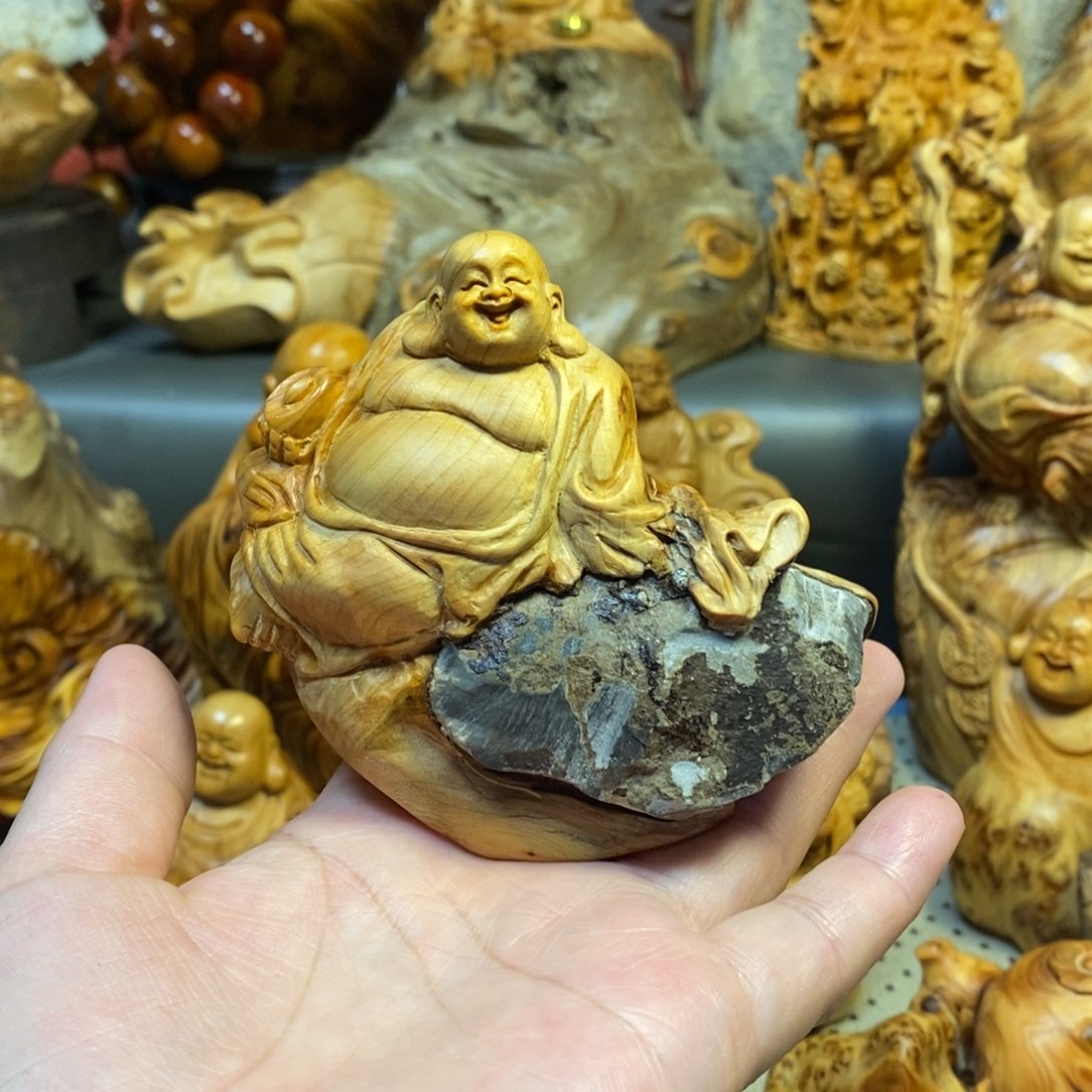 柏木（崖柏）太行山上