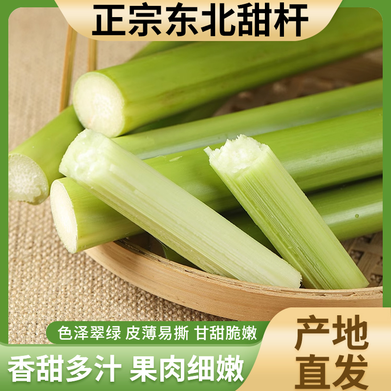 甜杆新鲜现摘当季又脆又甜东北顺丰包邮脆甜优质精品3/5斤