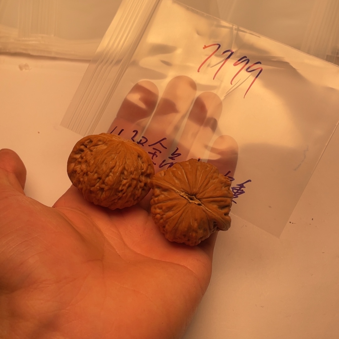 手串/手链核桃7799