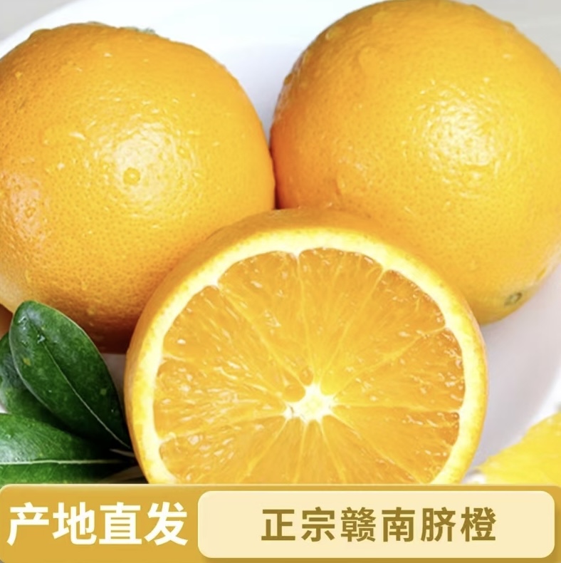 【正宗赣南脐橙】江西赣南脐橙老树橙子寻乌脐橙香甜应季水果10斤