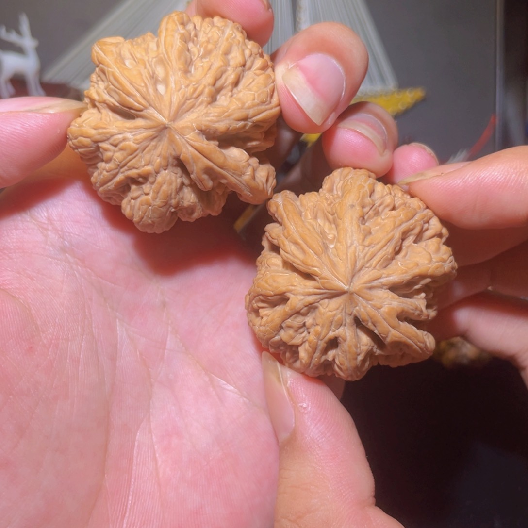 把件文玩核桃45大粗筋