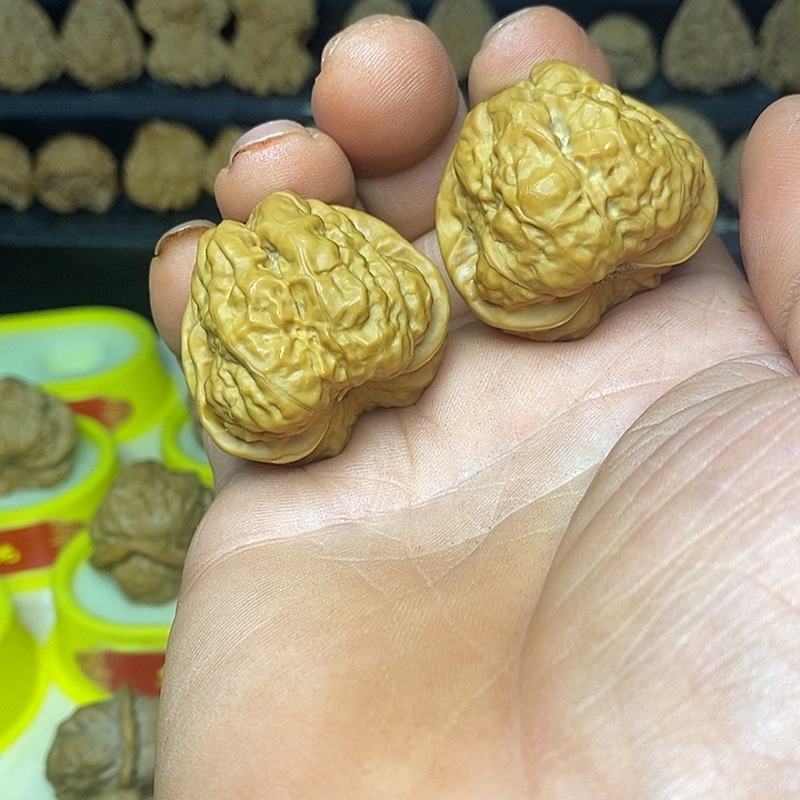 涛****核桃蛤蟆头成品对