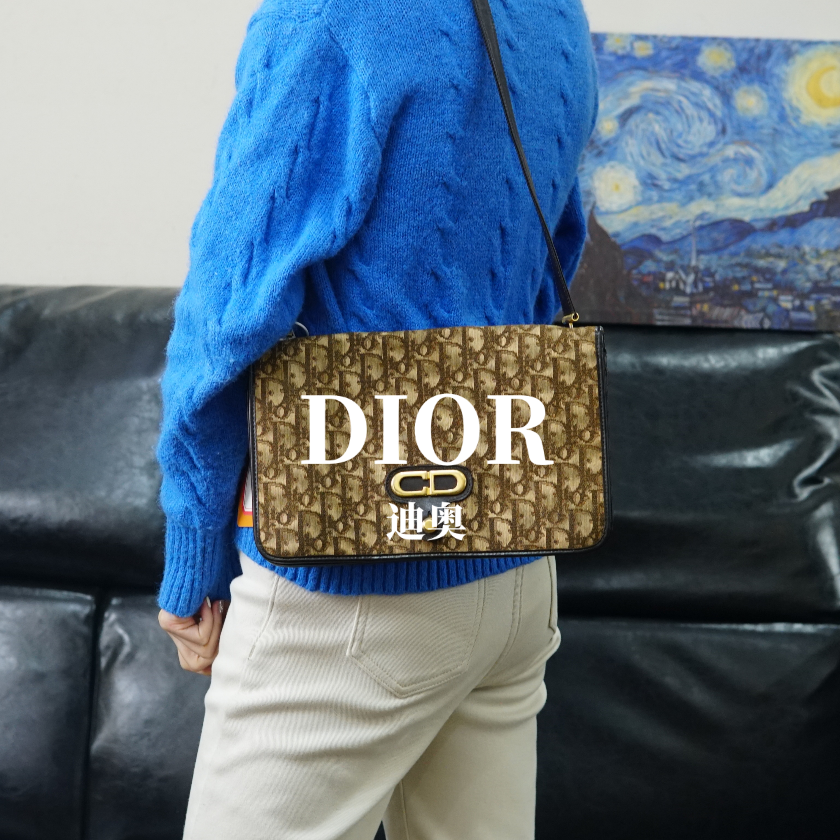 95新 DIOR/迪奥 老花单肩包/FYJJ01109363/9363