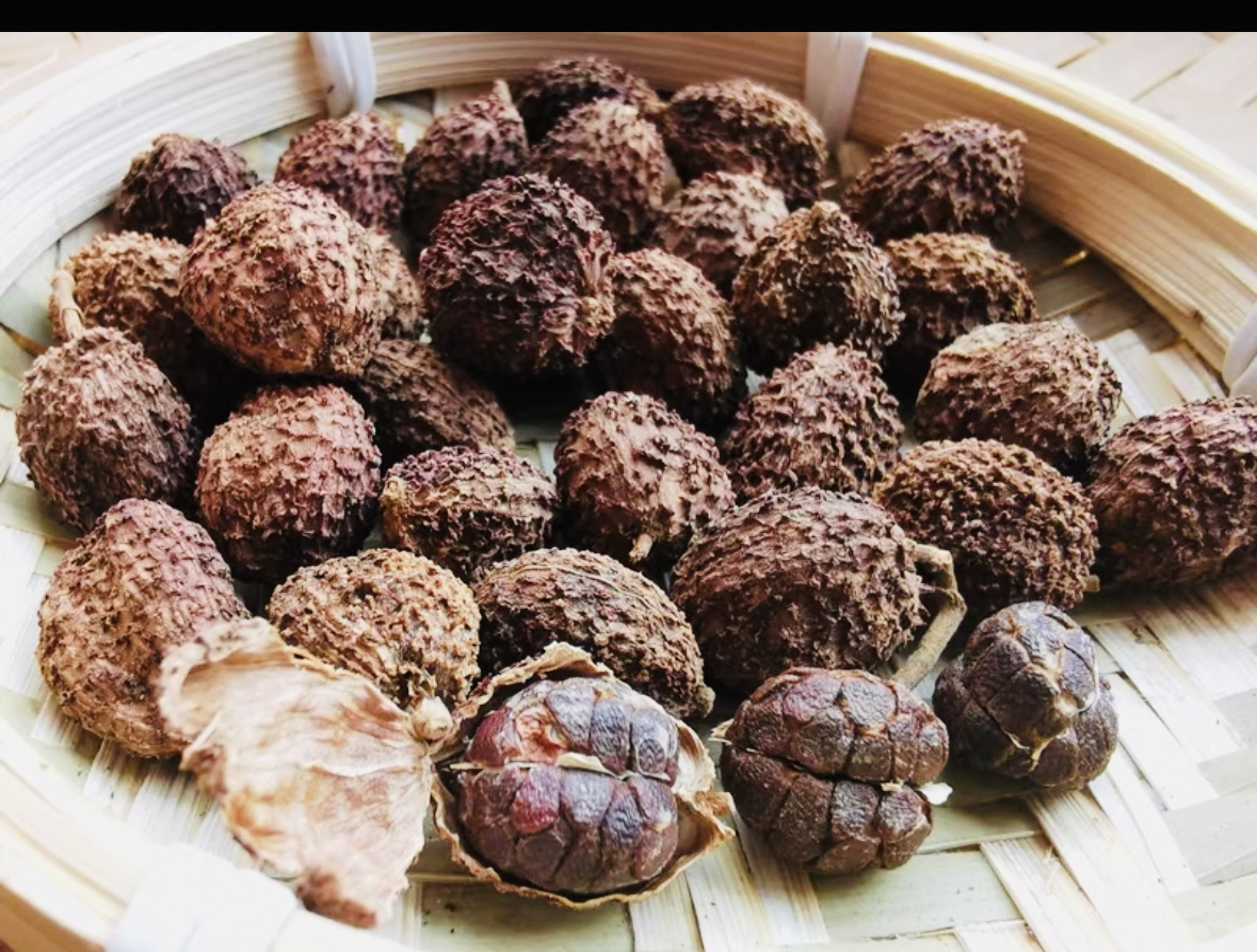 阳春春砂仁干果 阳春特产传统碳烘干果100g包邮 阳春原产地发货 