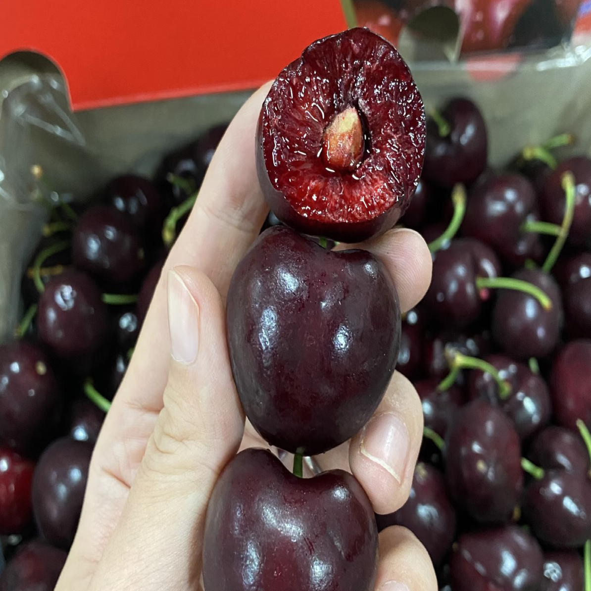 【配送到家】智利3JJJ桑提娜海运车厘子500g智利