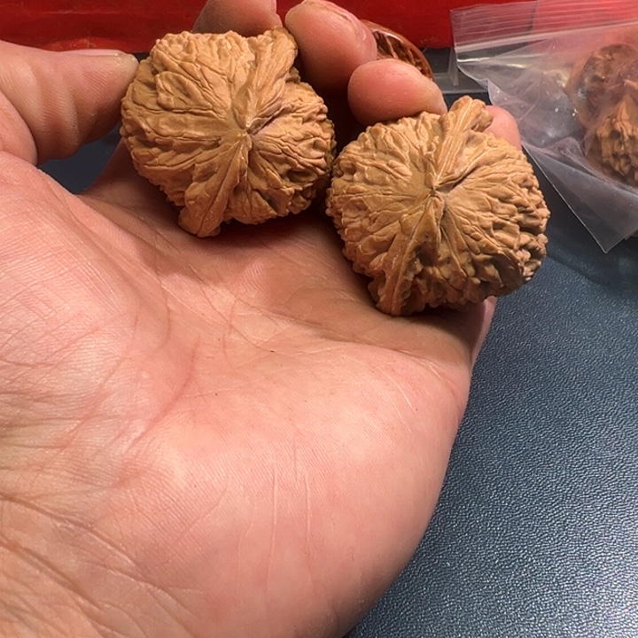 文玩核桃把件文玩核桃文玩核桃白狮子