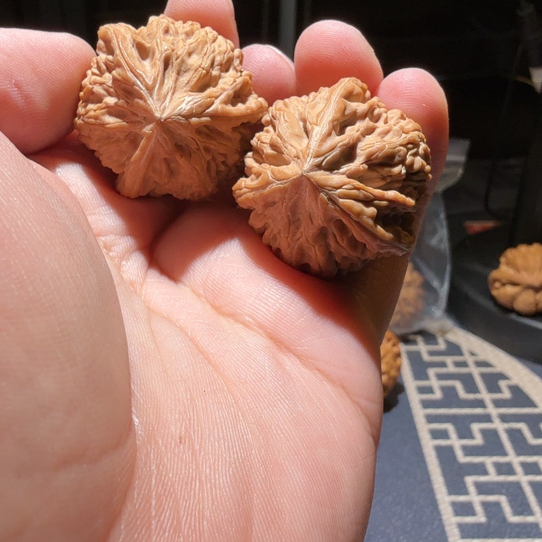 文玩核桃把件S****7御龙