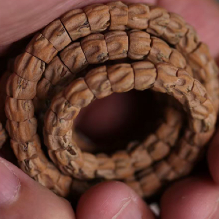 热振柏香籽.【山岚红芽】斜切款.满坑满棱铁籽