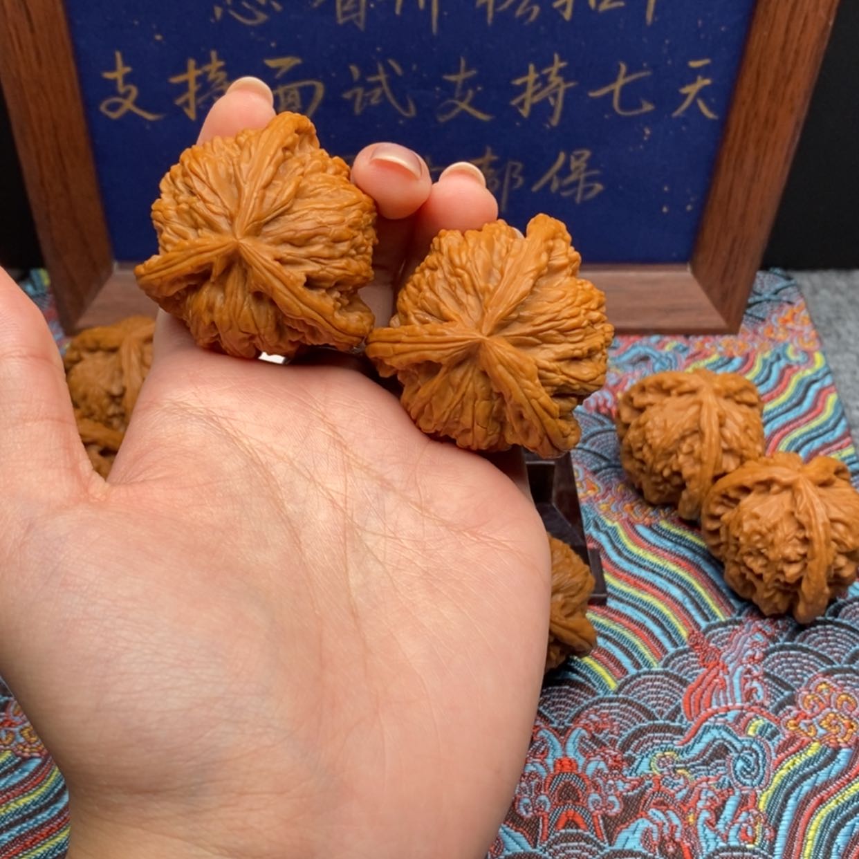 【闪购商品】世****号白狮