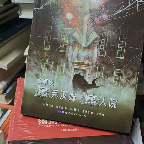 蝙蝠侠阿克汉姆疯人院。