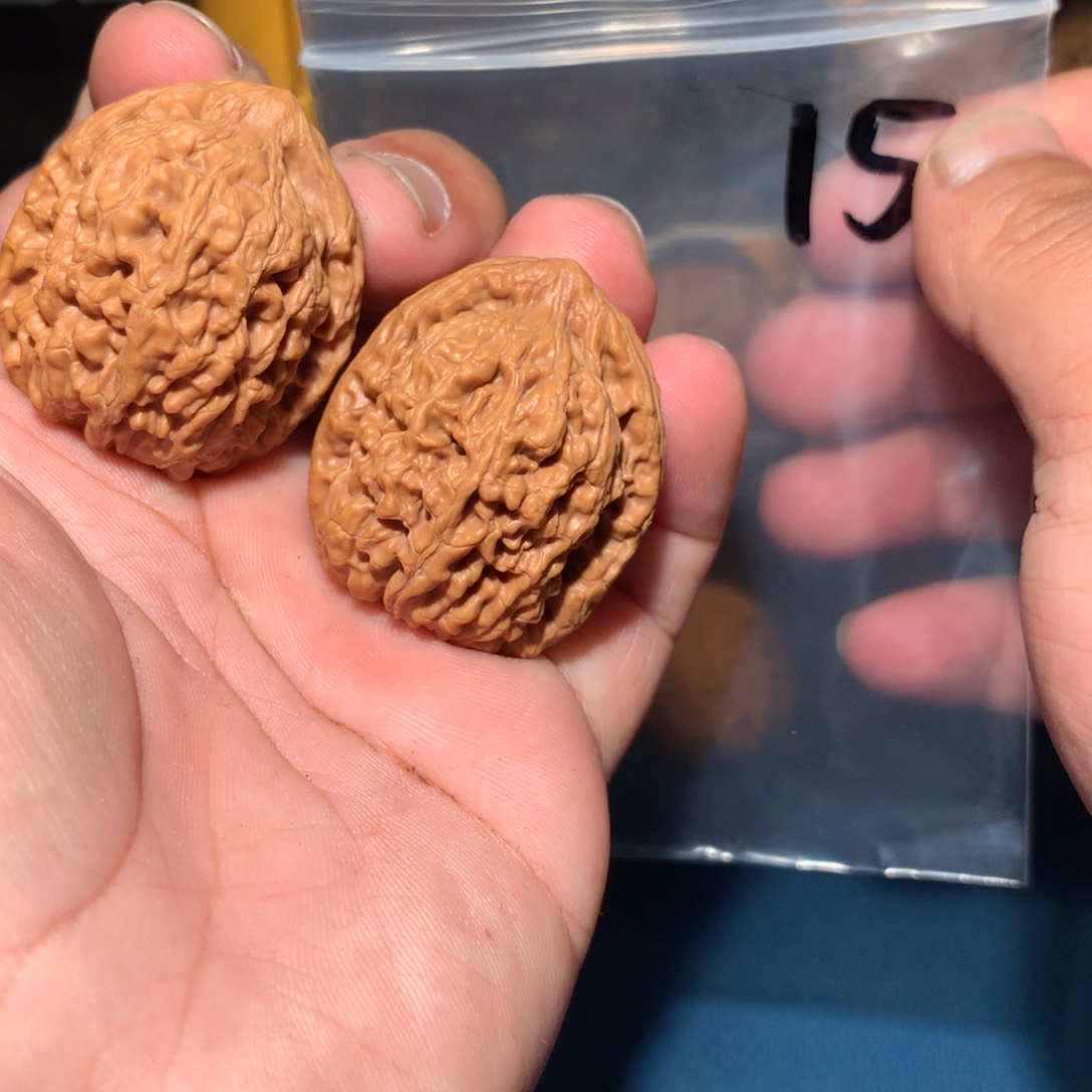 文玩核桃吊坠蚂蚁王 34 